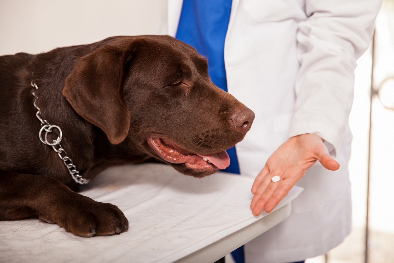 Preventative Care Upland, CA
