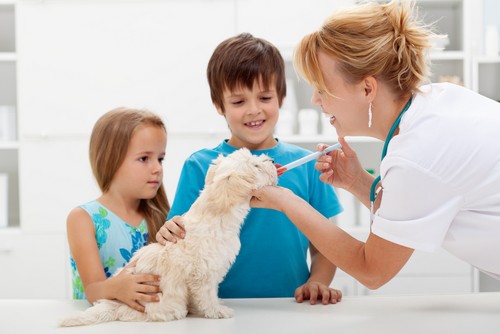 Vaccinations Upland, CA