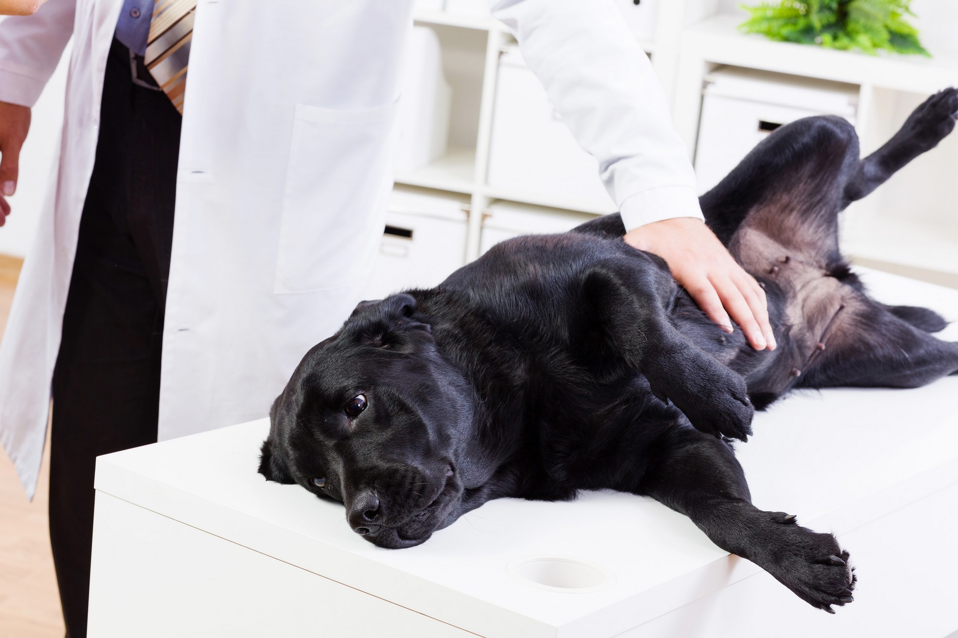 Wellness Exams Upland, CA